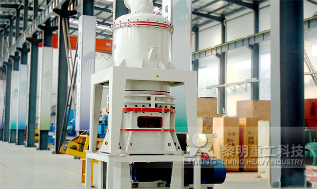 客戶來廠參觀 MW環(huán)輥微粉磨現場圖