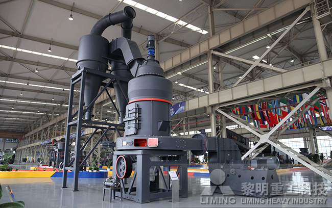 客戶來廠參觀 5X系列歐版智能磨粉機生產(chǎn)線